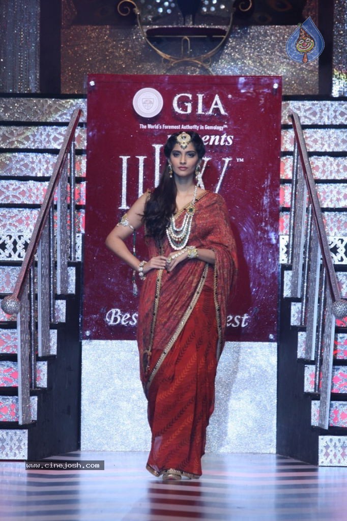 Celebs at IIJW 2013 Finale - 15 / 66 photos