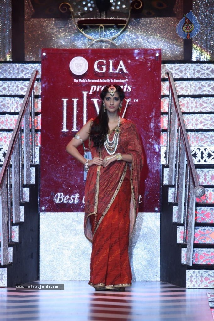 Celebs at IIJW 2013 Finale - 32 / 66 photos