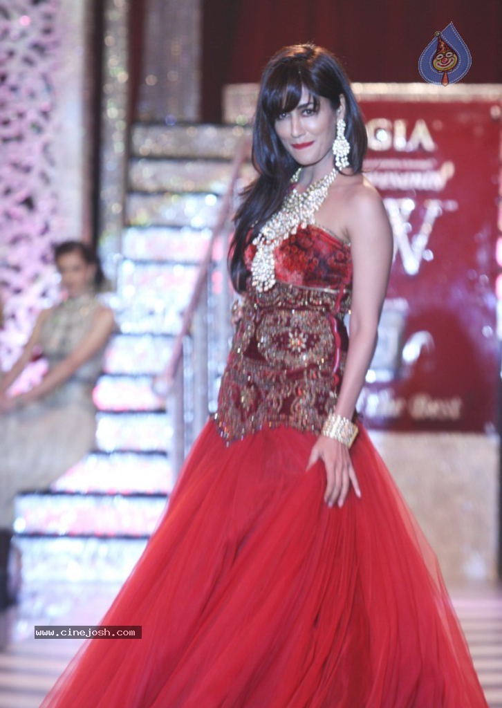 Celebs at IIJW 2013 Finale - 34 / 66 photos
