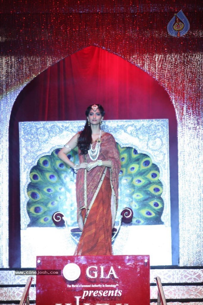 Celebs at IIJW 2013 Finale - 42 / 66 photos