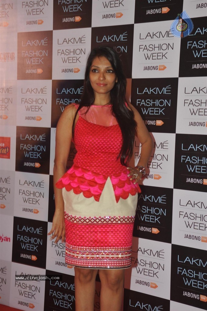Celebs at LFW Winter and Festive 2014 Curtain Raiser - 24 / 152 photos