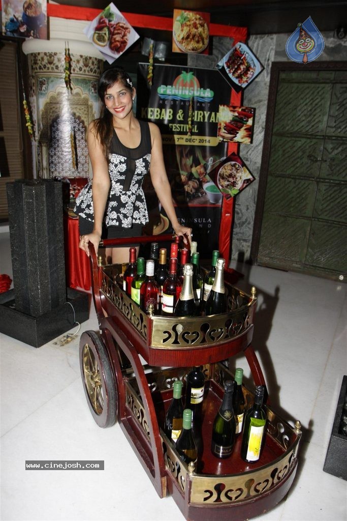 Celebs at Peninsula Grand Hotel Cake Mixing - 21 / 58 photos