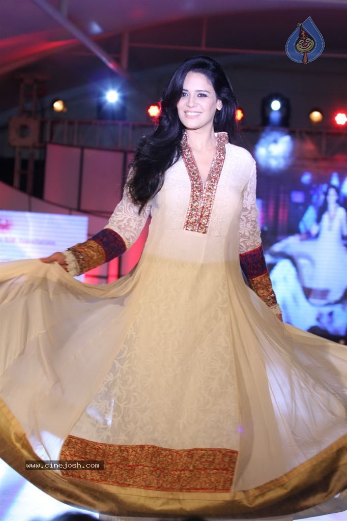 Celebs at Pidilite CPAA Fashion Show - 3 / 85 photos