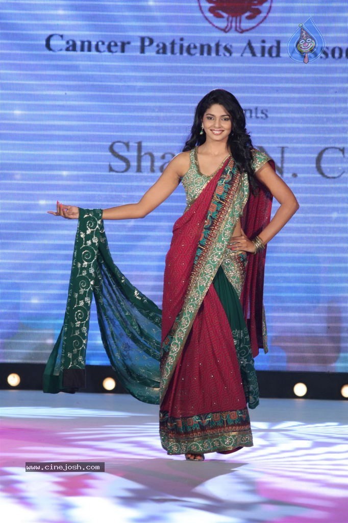 Celebs at Pidilite CPAA Fashion Show - 23 / 85 photos