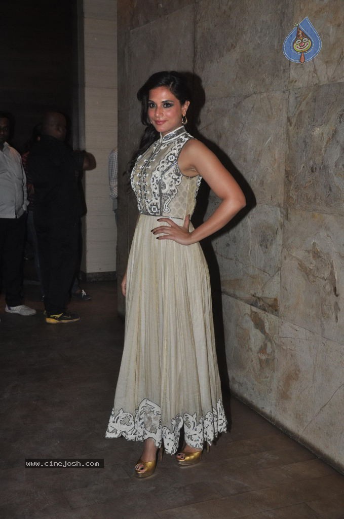 Celebs at Ram Leela Special Screening - 10 / 47 photos