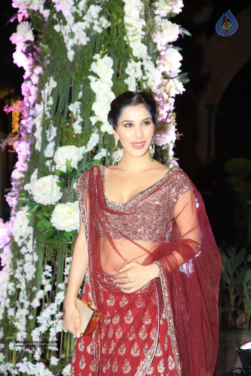 Celebs at Riddhi Malhotra n Tejas Talwalkar Sangeet Ceremony - 28 / 152 photos
