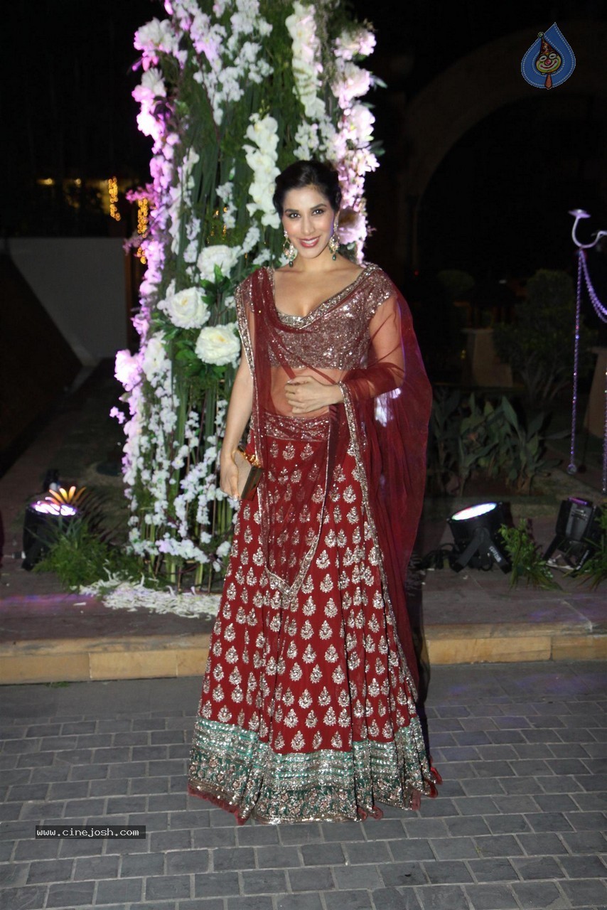 Celebs at Riddhi Malhotra n Tejas Talwalkar Sangeet Ceremony - 34 / 152 photos