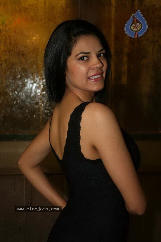 Celebs at Satish Reddy Cuban Theme Bash - 36 / 56 photos