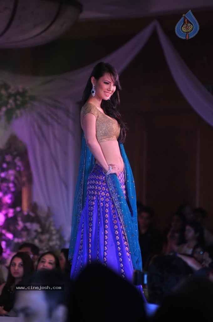 Celebs at Shehnai 2013 Show - 21 / 81 photos