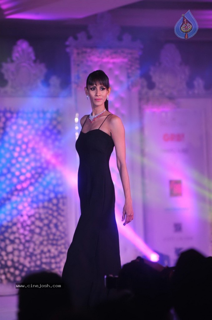 Celebs at Shehnai 2013 Show - 47 / 81 photos