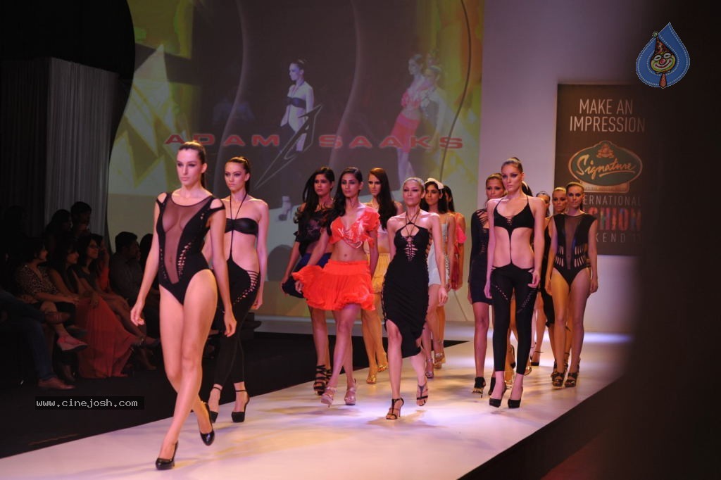 Celebs at Signature International Fashion Week 2013 - 107 / 132 photos