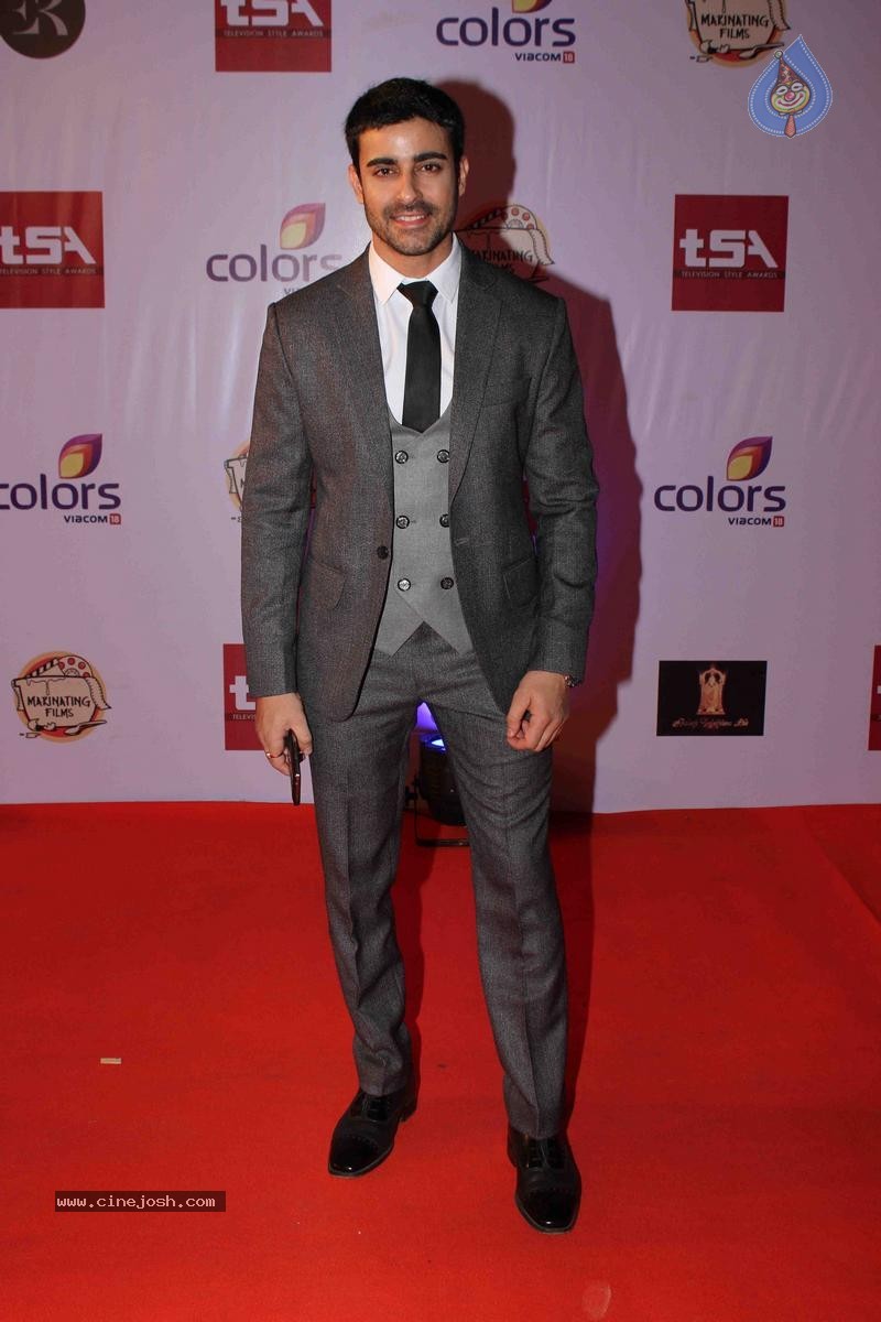 Celebs at Television Style Awards 2015 - 24 / 57 photos