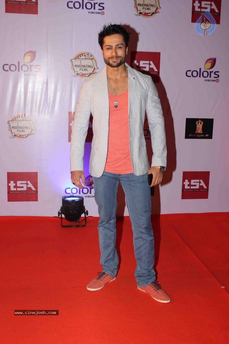 Celebs at Television Style Awards 2015 - 27 / 57 photos