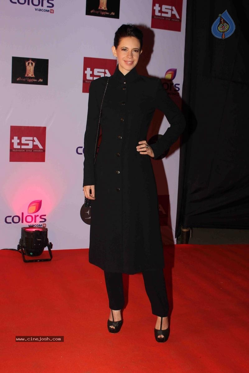 Celebs at Television Style Awards 2015 - 35 / 57 photos