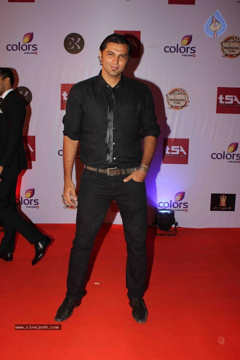 Celebs at Television Style Awards 2015 - 46 / 57 photos