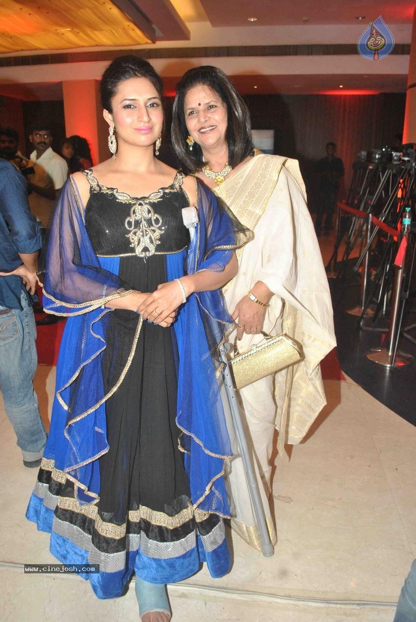 Celebs at TV Actor Karan Patel Sangeet Ceremony - 42 / 83 photos