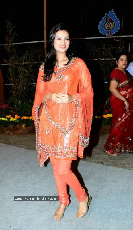 Bolly Celebs at Venugopal Dhoot Daughter Wedding - 14 / 55 photos