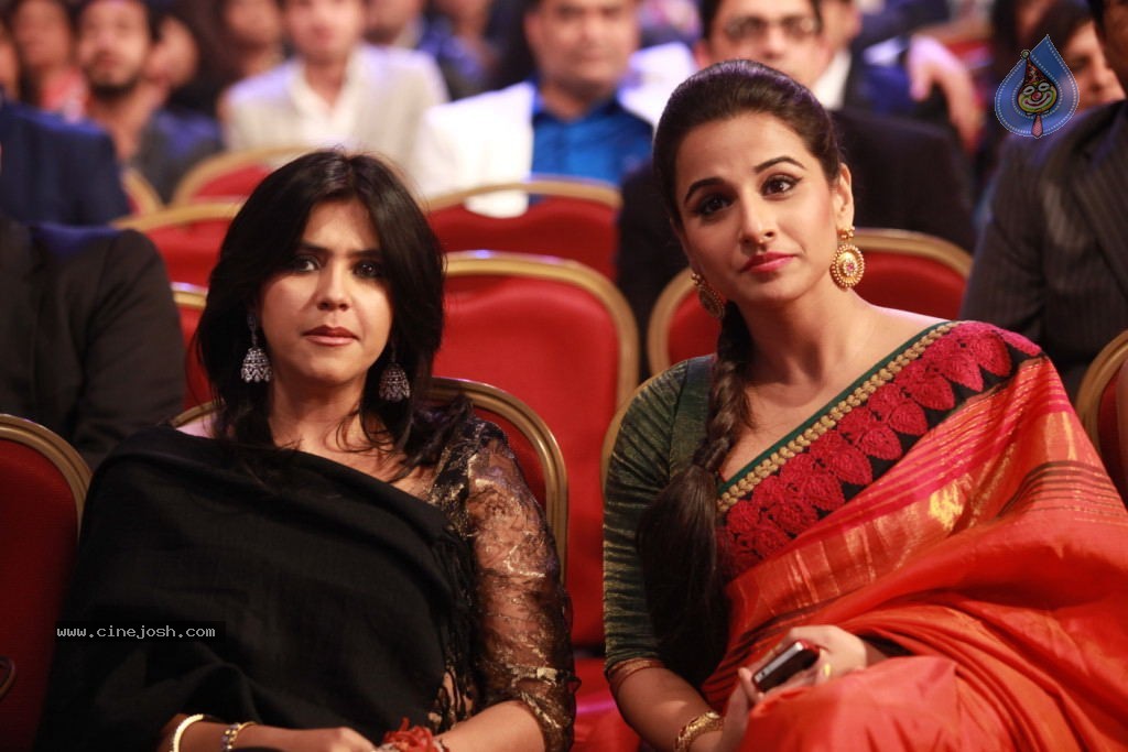 Celebs at Zee Cine Awards 2012 - 14 / 16 photos