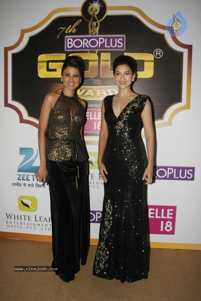 Celebs at Zee Gold Awards 2014 - 21 / 23 photos