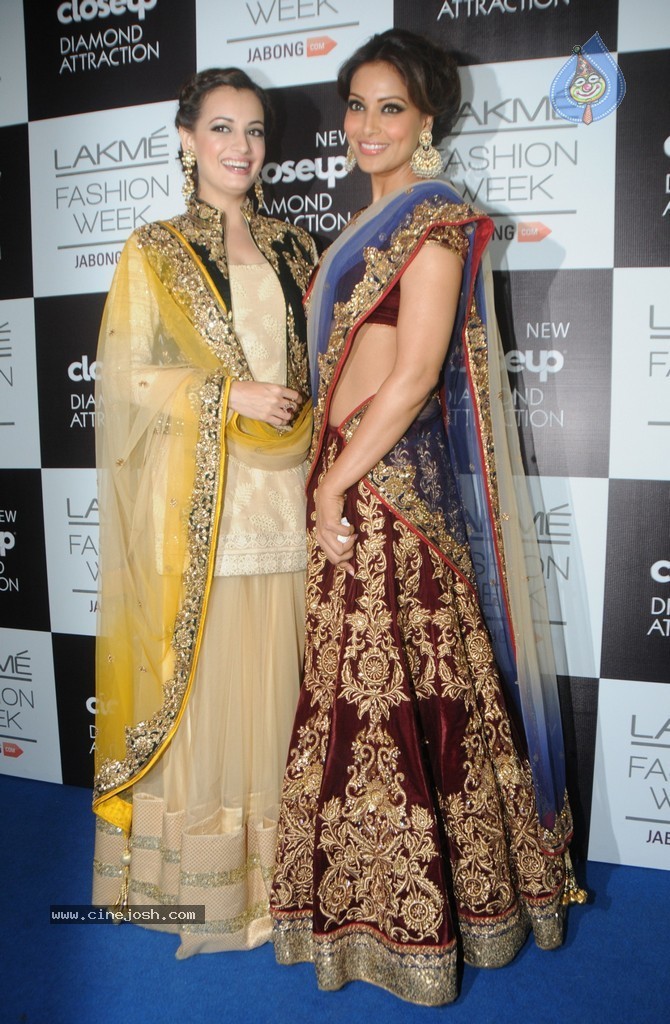 Celebs n Models Walks the Ramp at LFW 2014 - 1 / 110 photos