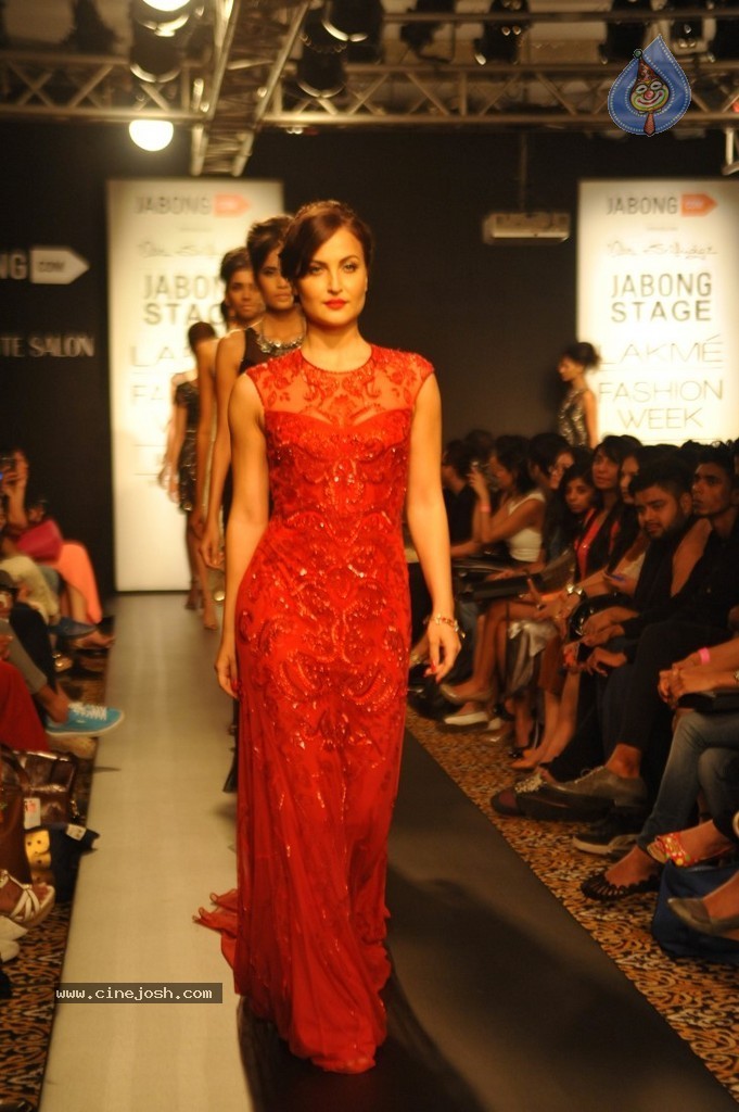 Celebs n Models Walks the Ramp at LFW 2014 - 3 / 110 photos