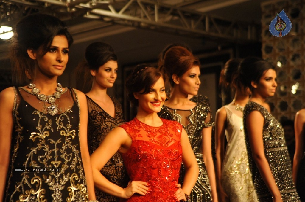 Celebs n Models Walks the Ramp at LFW 2014 - 5 / 110 photos