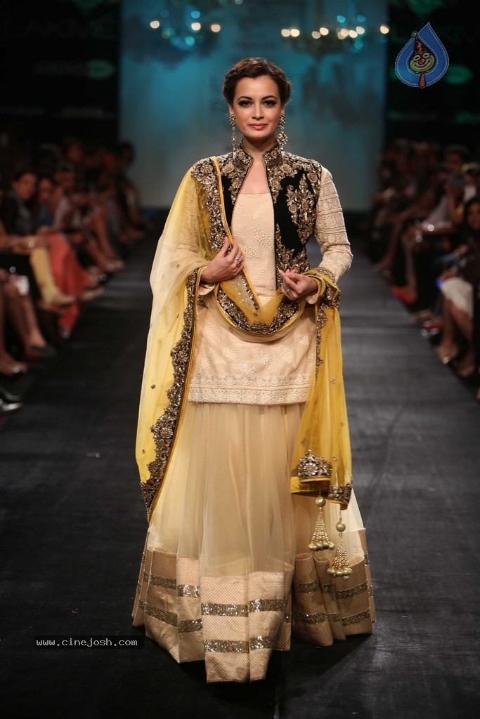 Celebs n Models Walks the Ramp at LFW 2014 - 10 / 110 photos