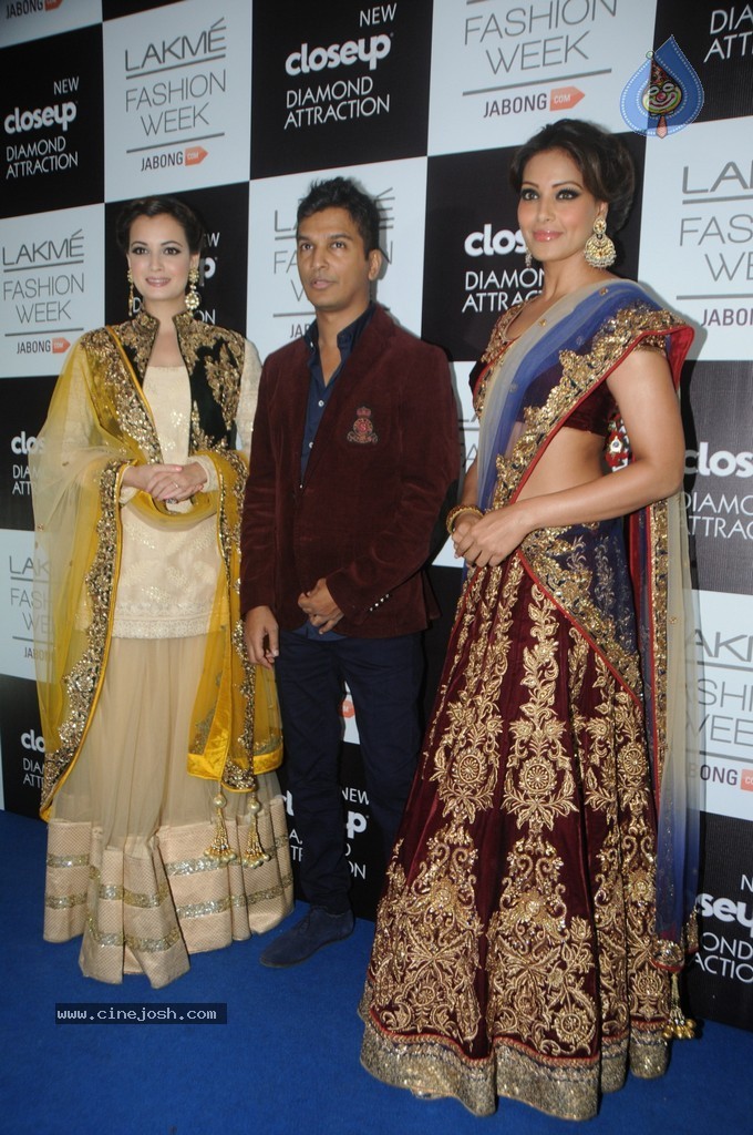 Celebs n Models Walks the Ramp at LFW 2014 - 27 / 110 photos
