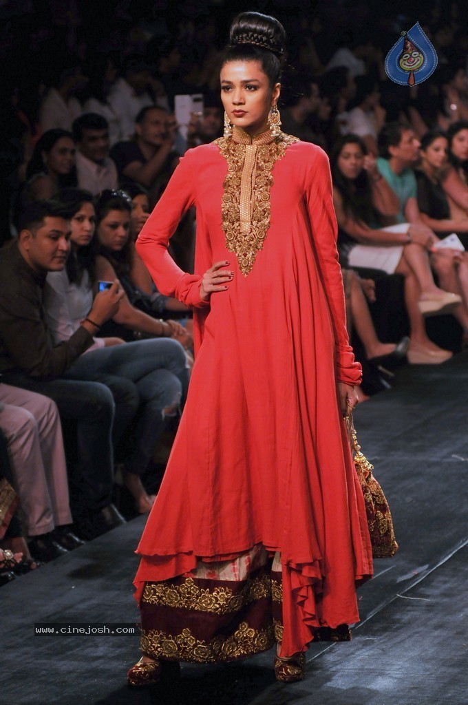 Celebs n Models Walks the Ramp at LFW 2014 - 37 / 110 photos