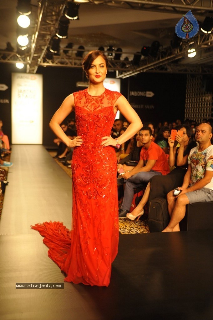 Celebs n Models Walks the Ramp at LFW 2014 - 68 / 110 photos