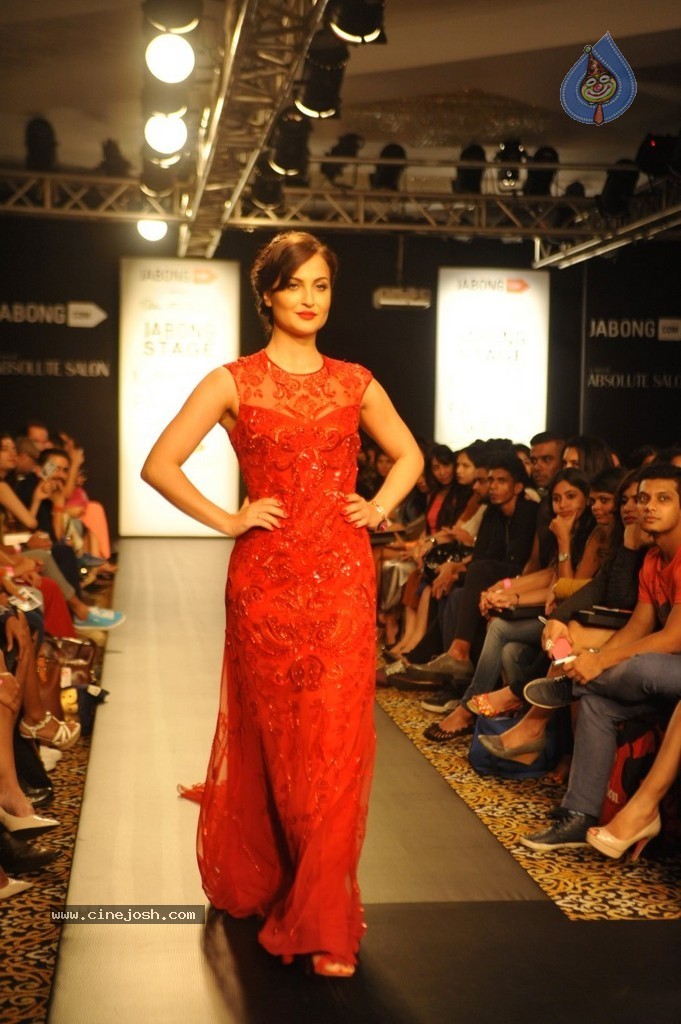 Celebs n Models Walks the Ramp at LFW 2014 - 71 / 110 photos