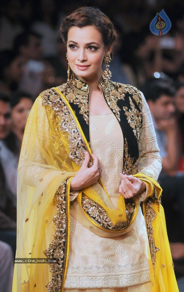 Celebs n Models Walks the Ramp at LFW 2014 - 72 / 110 photos