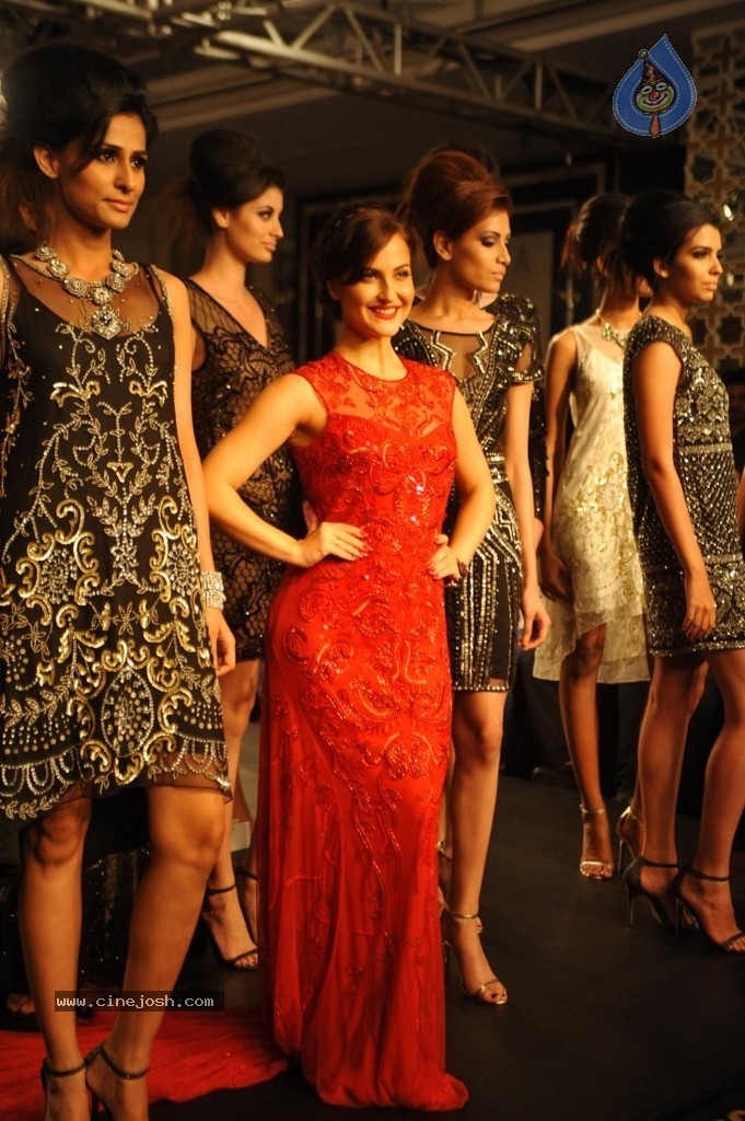 Celebs n Models Walks the Ramp at LFW 2014 - 76 / 110 photos