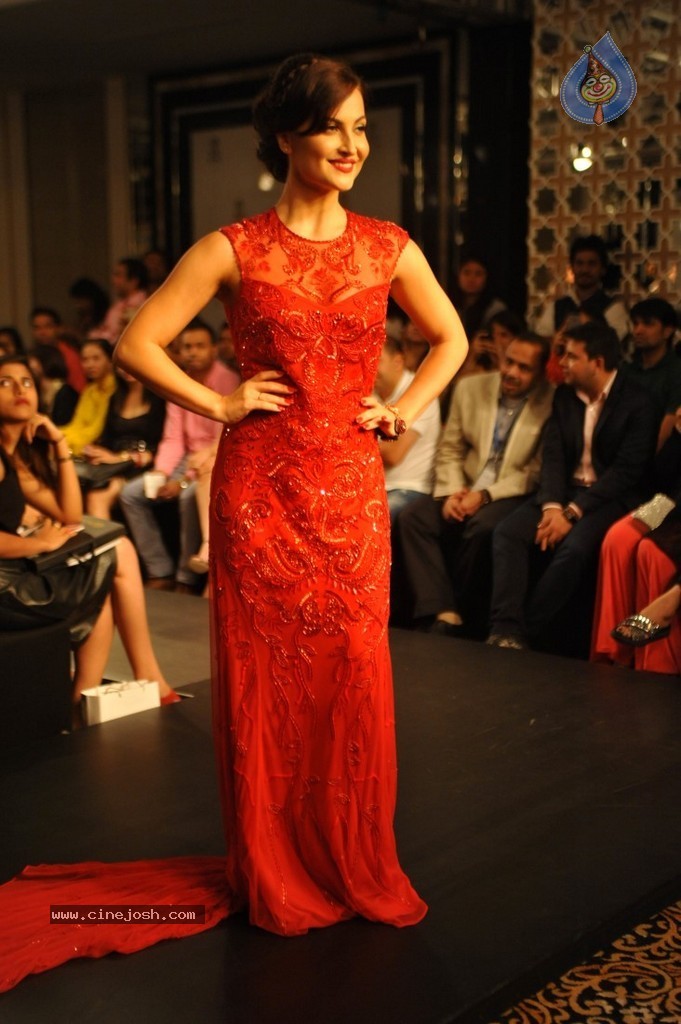 Celebs n Models Walks the Ramp at LFW 2014 - 79 / 110 photos