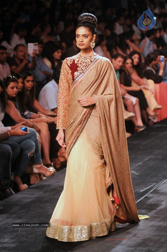 Celebs n Models Walks the Ramp at LFW 2014 - 80 / 110 photos