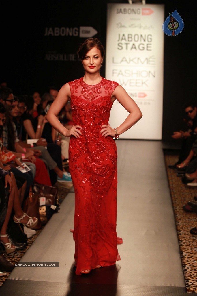 Celebs n Models Walks the Ramp at LFW 2014 - 82 / 110 photos