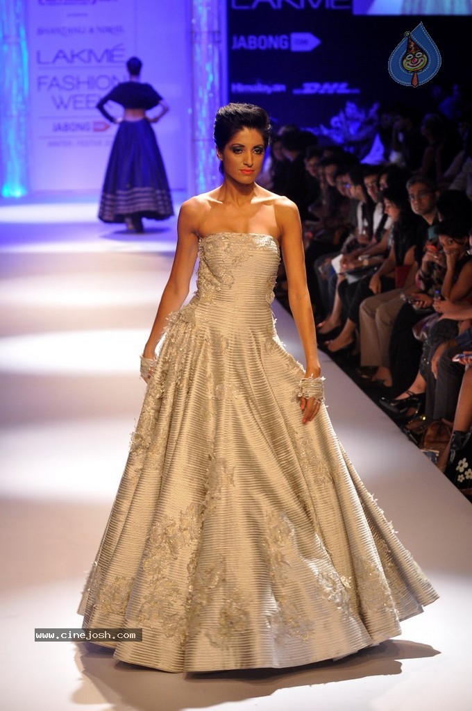 Celebs n Models Walks the Ramp at LFW 2014 - 93 / 110 photos