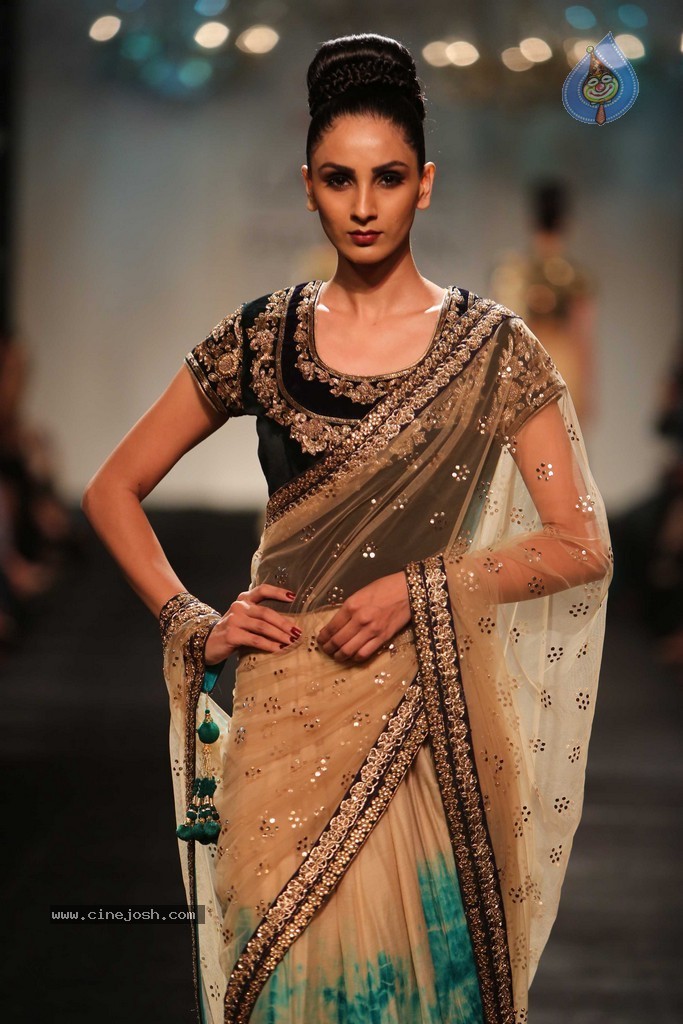 Celebs n Models Walks the Ramp at LFW 2014 - 110 / 110 photos