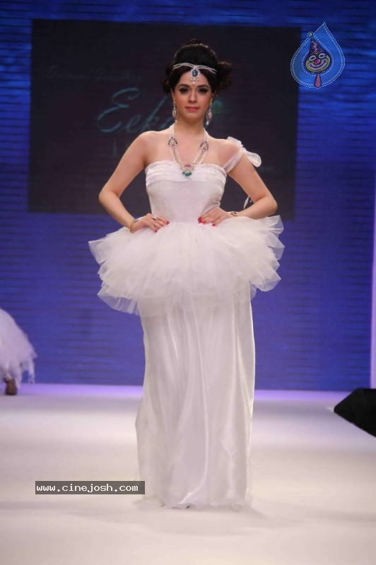 Celebs Walk the Ramp at IIJW 2011 Fashion Show - 4 / 137 photos