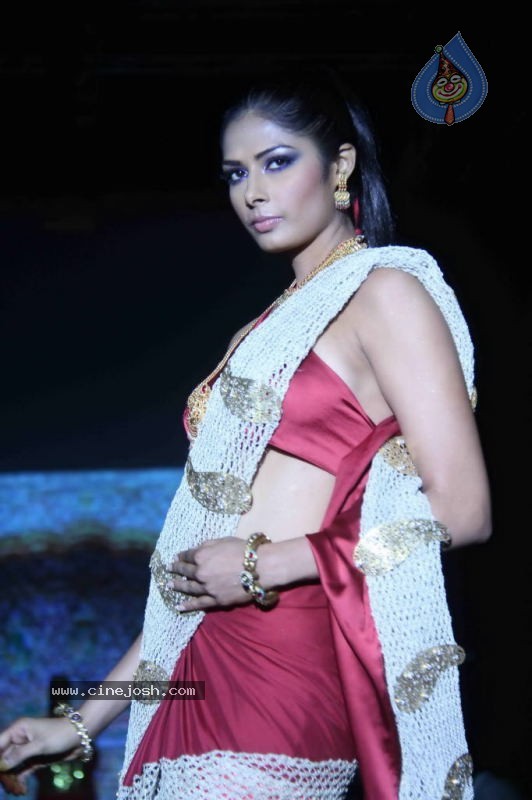 Celebs Walk the Ramp at IIJW 2011 Fashion Show - 10 / 137 photos
