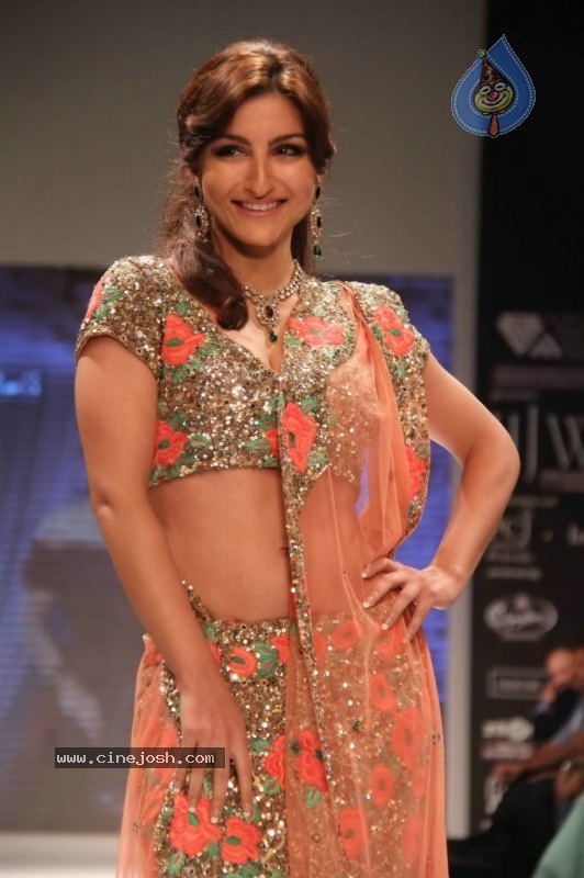 Celebs Walk the Ramp at IIJW 2011 Fashion Show - 19 / 137 photos