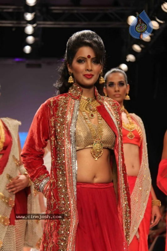 Celebs Walk the Ramp at IIJW 2011 Fashion Show - 21 / 137 photos