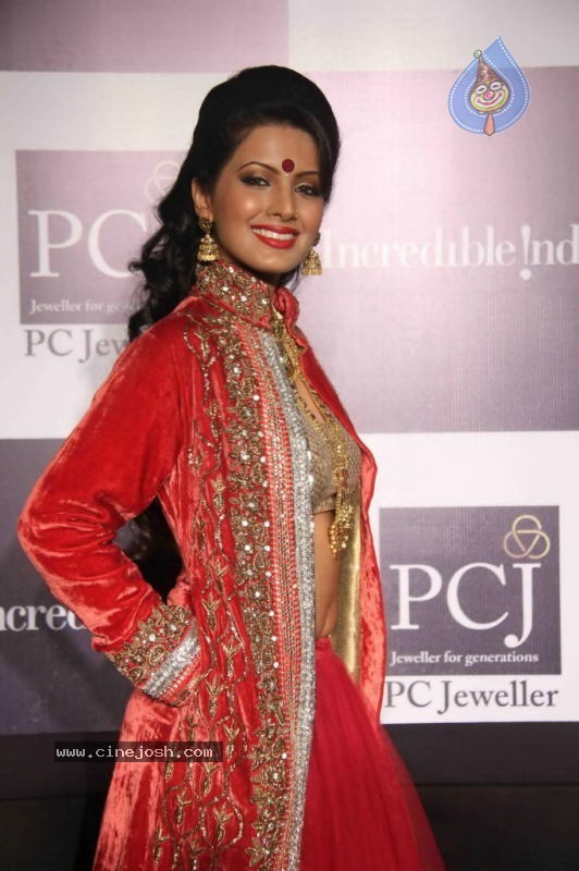 Celebs Walk the Ramp at IIJW 2011 Fashion Show - 37 / 137 photos