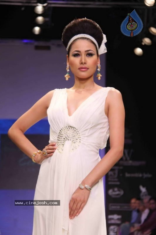 Celebs Walk the Ramp at IIJW 2011 Fashion Show - 39 / 137 photos