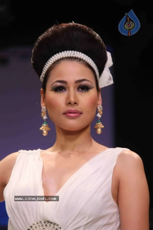 Celebs Walk the Ramp at IIJW 2011 Fashion Show - 44 / 137 photos
