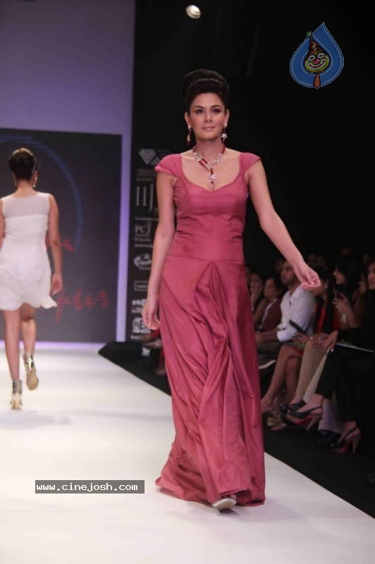 Celebs Walk the Ramp at IIJW 2011 Fashion Show - 45 / 137 photos