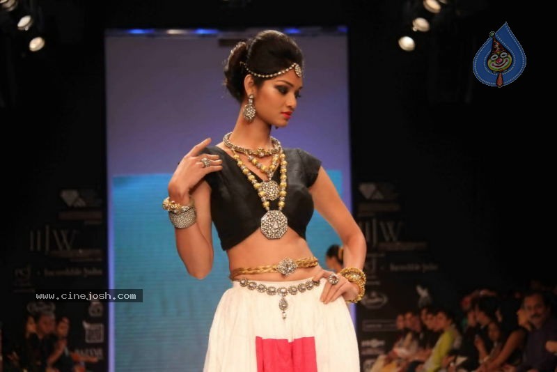 Celebs Walk the Ramp at IIJW 2011 Fashion Show - 58 / 137 photos