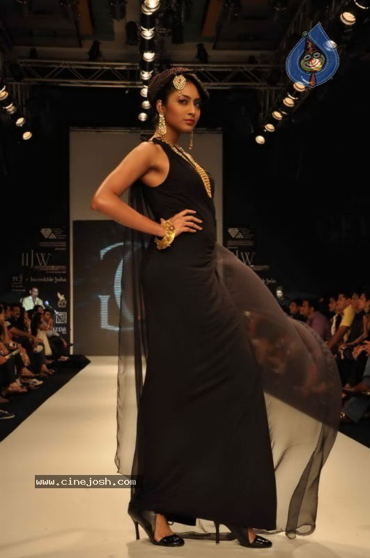 Celebs Walk the Ramp at IIJW 2011 Fashion Show - 62 / 137 photos