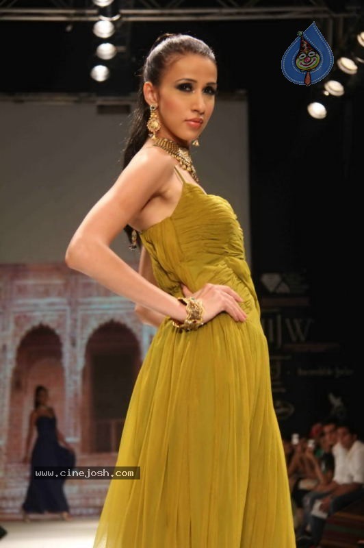 Celebs Walk the Ramp at IIJW 2011 Fashion Show - 68 / 137 photos