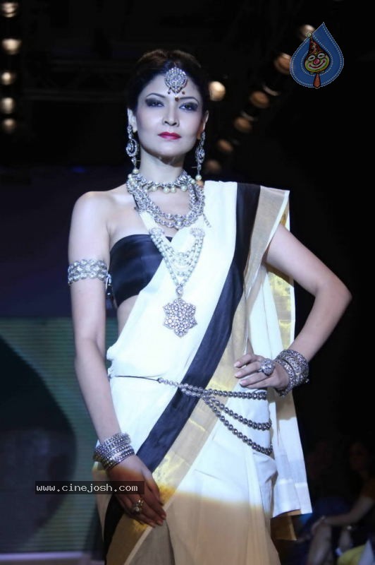Celebs Walk the Ramp at IIJW 2011 Fashion Show - 77 / 137 photos